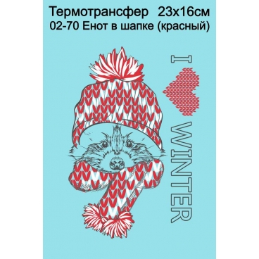 Енот в шапке