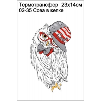 Сова в кепке