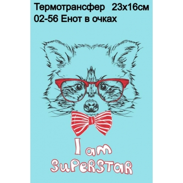 Енот в очках