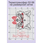 Енот в очках