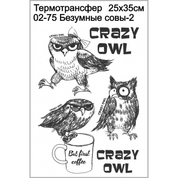Безумные совы