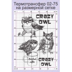 Безумные совы