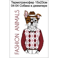 Собака в джемпере